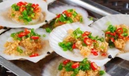 爆料扇贝测评视频大全,视频大全深度解析